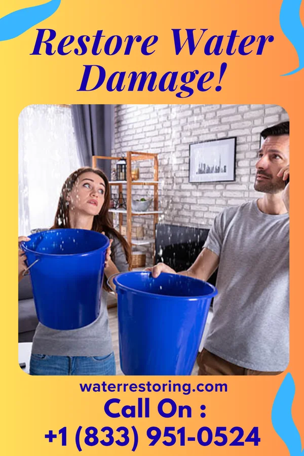 water restoration Citywide Mitigation & Associates Norman Park