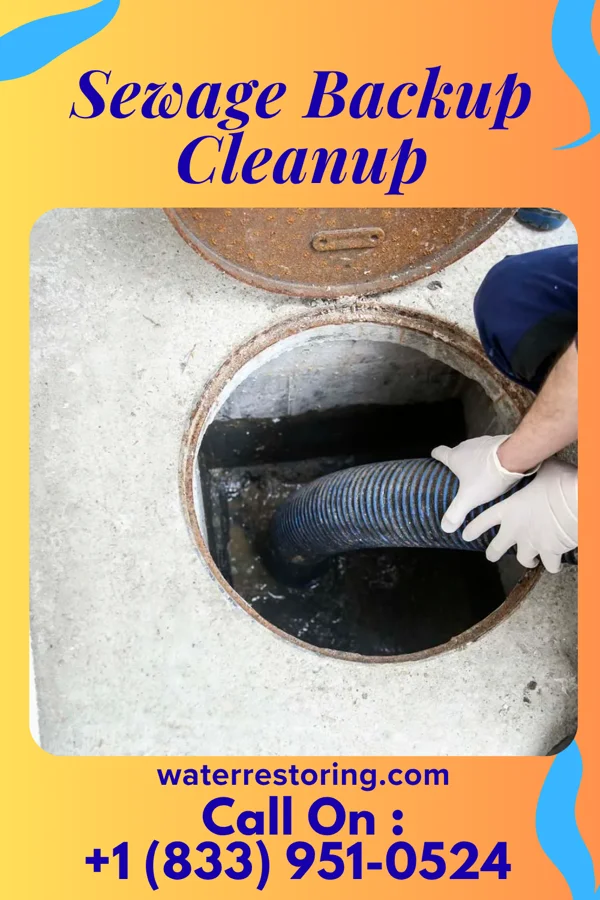 Sewage Backup Cleanup in Norman Park, GA